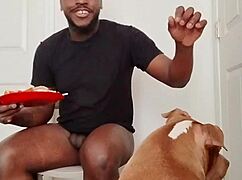 Llamasr Update 1 - March 18, 2025