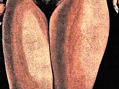 Vintage Erotic Art Collection