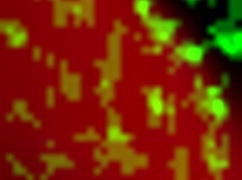 kanedamaaka so exited he ruins my tights in doggystyle