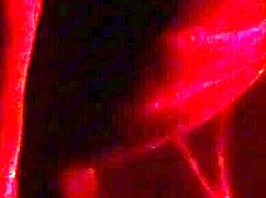 Black Babe Bent Over For Big Cock Fuck