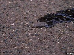 sally's outdoor pissing scene in public