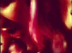 Little Compilation of Us, Hope You Enjoy It