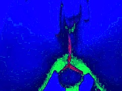 Bleu room anal solo finger fuck