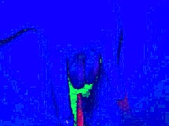 Bleu room anal solo finger fuck