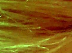 cute shy blonde amateur slurps cock pov then swallows every hot cum drop homemade