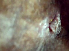 bangladeshi housewife surrenders pussy to lover's seduction fuck