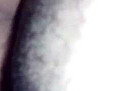 damn, my buddy's young girlfriend moans wild on my thick cock - full brazilian ride!