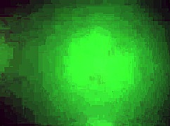 i pay my lawyer's fees with my wet pussy and big tits