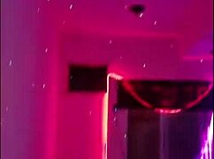 vlog de mudança with alice hael