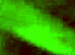 allison the white trash slut begs for bareback dick then gulps every drop