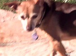 what's vanessa cage hiding backstage? blonde pornstar teases ass pussy tits