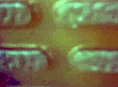 Mommy Domme in Pantyhose Kicks Balls Hard for Ultimate Control Thrill