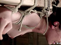Bound Rope Bondage Slut Ass Whipped Hard in BDSM Deepthroat Pain Hogtie