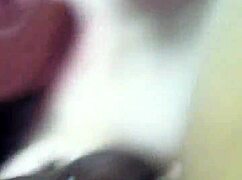 my wife drops to her knees for my homemade blowjob then swallows every drop casually watching her work