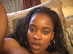 shave dat nappy thang 9 black panties hide hairy pussy bent over for creampie