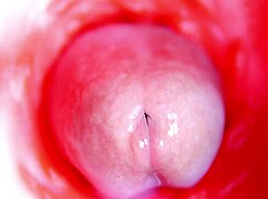 Internal Camera Teases Pussy Creampie