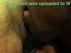 elle suce ma longue bite en lingerie secrétaire léchant mes couilles