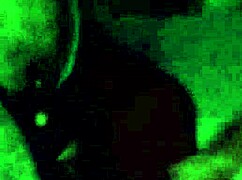 i love sucking my ebony king's huge sloppy cock so much