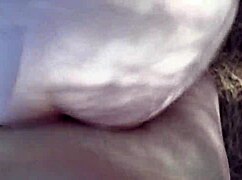 celestina blooms gets bred deep in nature outdoors pretty