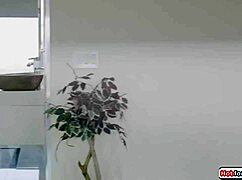 izzy wilde the shemale always licks shaved pussy first then fucks interracial hard all night