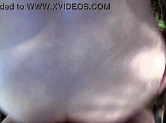 celestina blooms gets bred deep in nature outdoors pretty