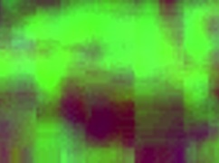 Mexican street prostitute takes it deep in her ass for cash