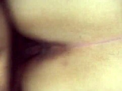 Cognitive Mexican Hotel Encounter Unfolds Intensely