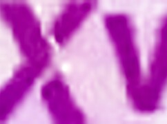 finally got gina lin's tight teen pussy on my hard cock first time ever!!