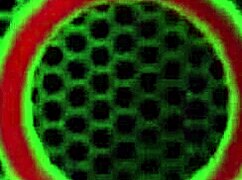 Three lesbian hotties Kimber Lee Maggie Green lick big pussies wet