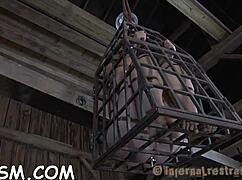 Horny Brunette Slut Shoves Toy Deep in Tight Pussy While Fingering Herself to Rough Climax