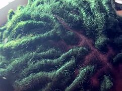 big daddy chevy impala deepthroats then rides huge cock