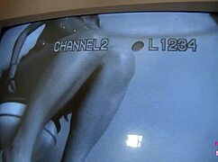 wanna taste glory hole cock in dana's busty mouth next?