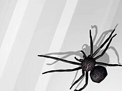 ladies slip into bikinis one by one for the shoot