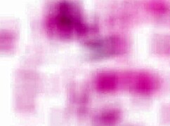 Taste this oiled latina ass after deepthroat on bbc?