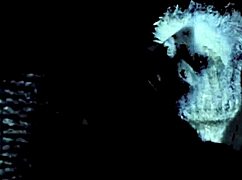 Vintage lezzies with hairy beavers lick in 1950s vs 1960s blue films