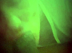 chubby brunette milf unleashes sloppy deepthroat on bbc in garage lover session