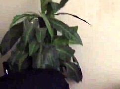 wife's belly bulges taking daddy's huge bbc monster cock deep