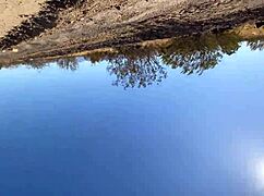 Fat Ebony BBW Ass Fucked By Monster BBC In Car Public Cumshot On Valentine's!!