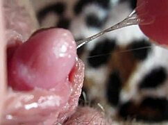 Watch That Massive Clit Explode In Intense Orgasm Closeup