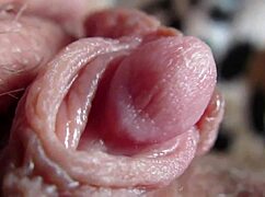 Watch That Massive Clit Explode In Intense Orgasm Closeup