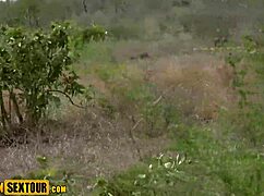 wild african teen's perfect big ass takes horny pussy pounding