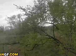 super tight ebony pussy gets pounded deep by huge american cock in camper van doggystyle missionary rough