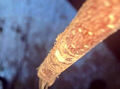 A couple encounters a witch deep in the forest for an intimate outdoor connection amid nature.