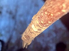 A couple encounters a witch deep in the forest for an intimate outdoor connection amid nature.