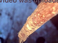 A couple encounters a witch deep in the forest for an intimate outdoor connection amid nature.