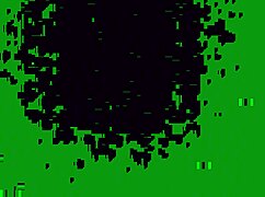 moans echo through the motel room