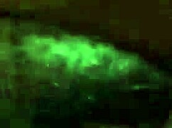 yo this tight nigerian pussy grips like crazy 😩 homemade amateur close-up