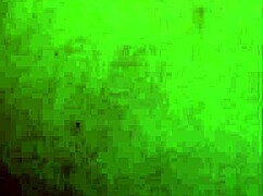 pounding this cute blonde beauty doggystyle while she deepthroats my cock loving it