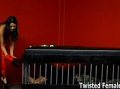 youre less then nothing to me slave pathetic