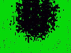 moans echo through the motel room